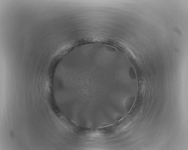 X0000116790643200912241203