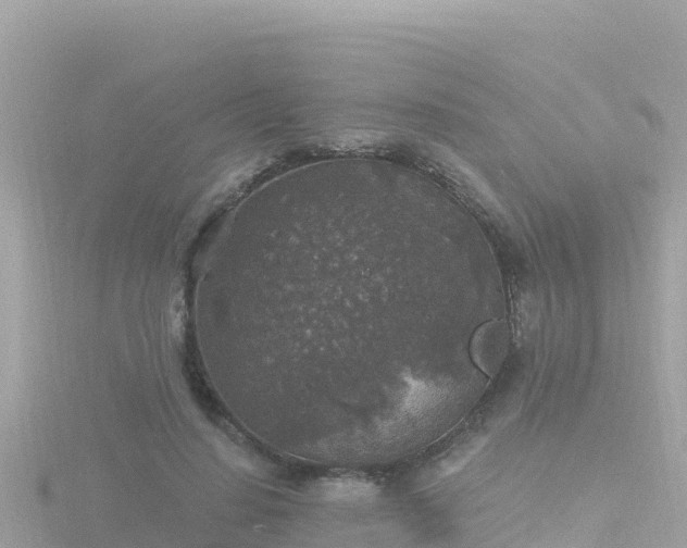 X0000116790644200912241203