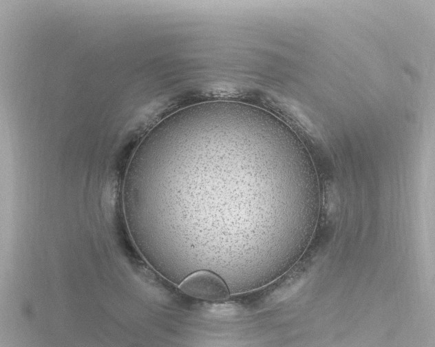 X0000116790645200912241203