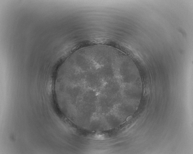 X0000116790647200912241203