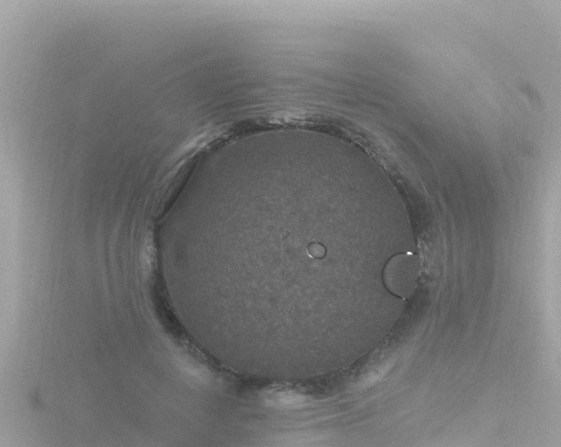 X0000116790648200912241203