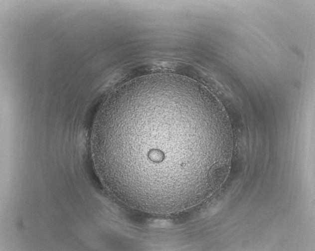 X0000116790649200912241203