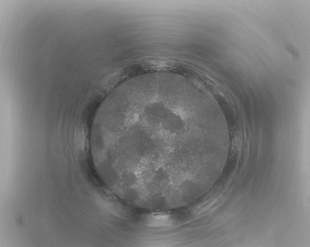 X0000116790651200912241203