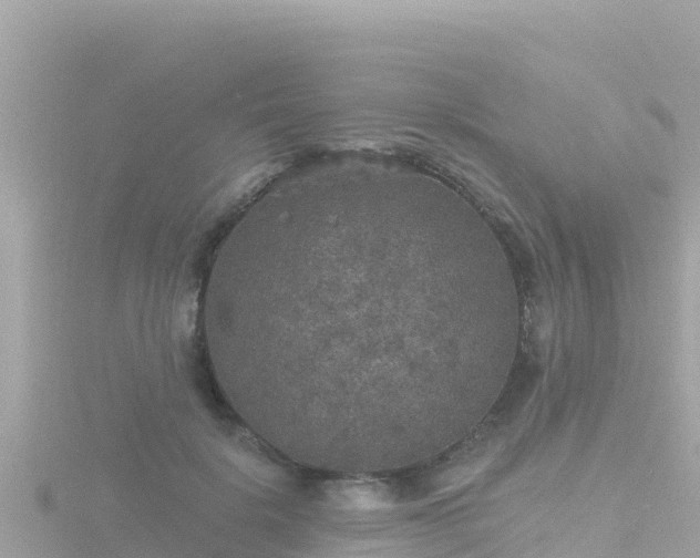 X0000116790652200912241203