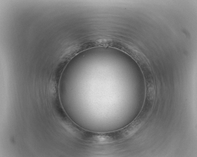 X0000116790654200912241203