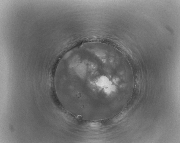 X0000116790659200912241203