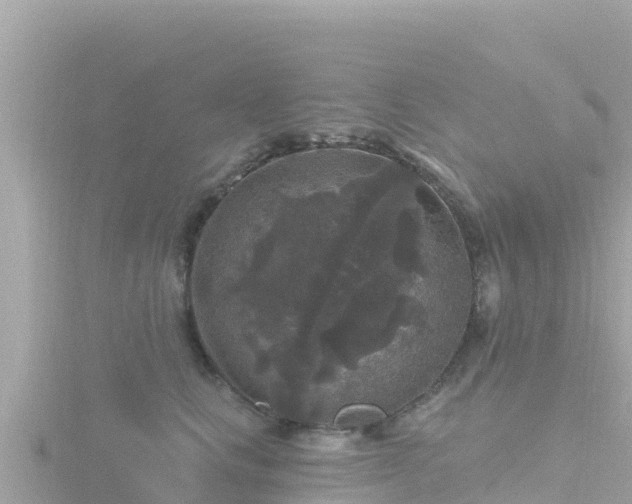 X0000116790661200912241203