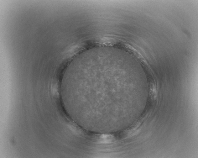 X0000116790663200912241203