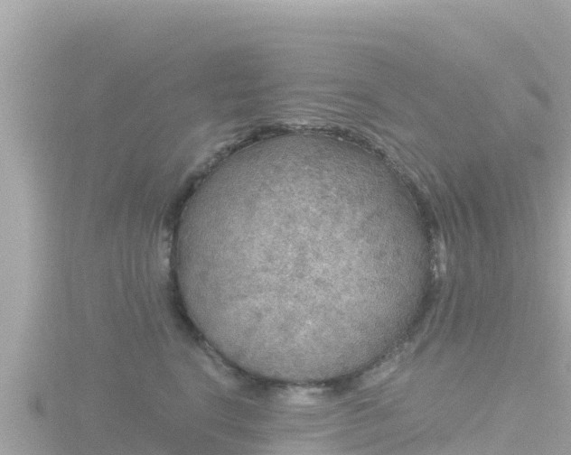 X0000116790664200912241203