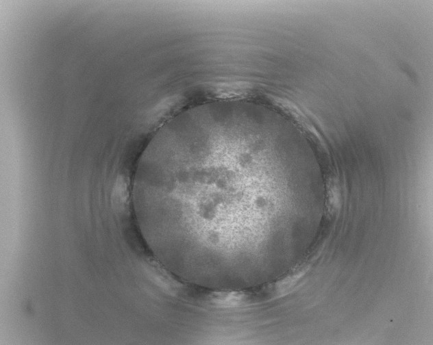 X0000116790667200912241203