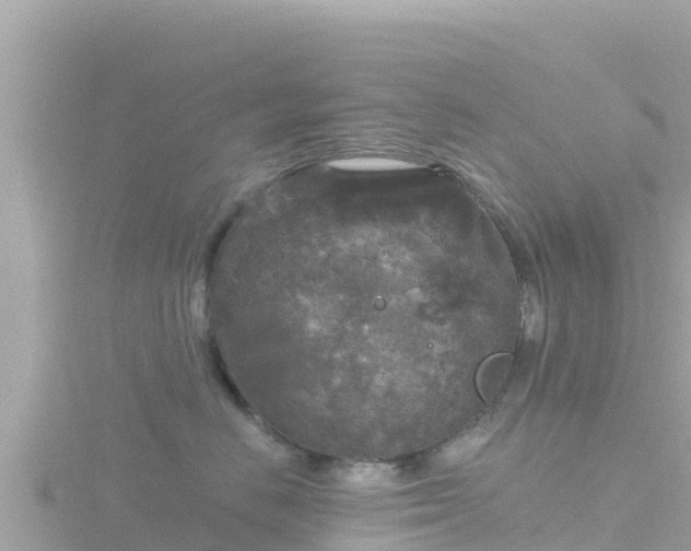 X0000116790670200912241203