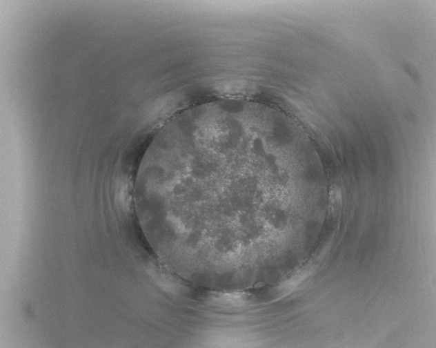 X0000116790671200912241203