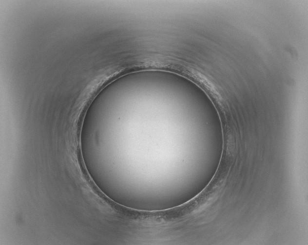 X0000116790673200912241202