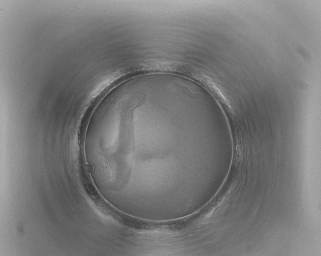 X0000116790674200912241202