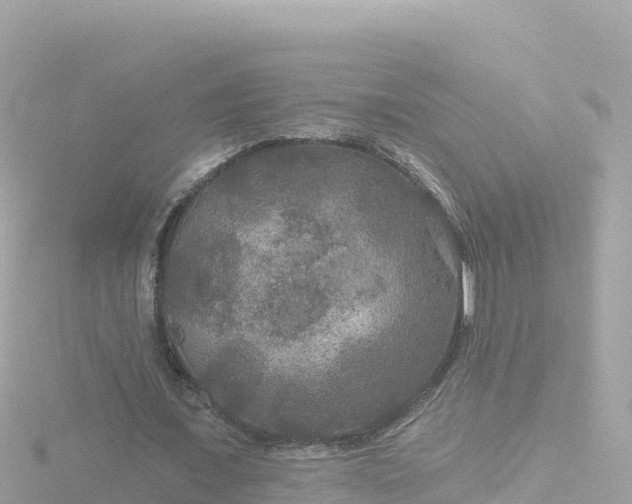 X0000116790675200912241202