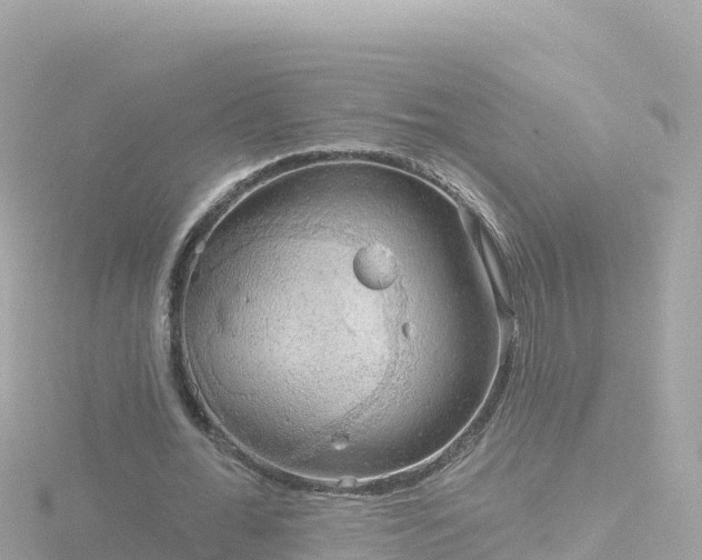 X0000116790676200912241202