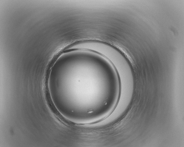 X0000116790677200912241202