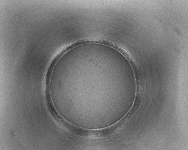 X0000116790678200912241202