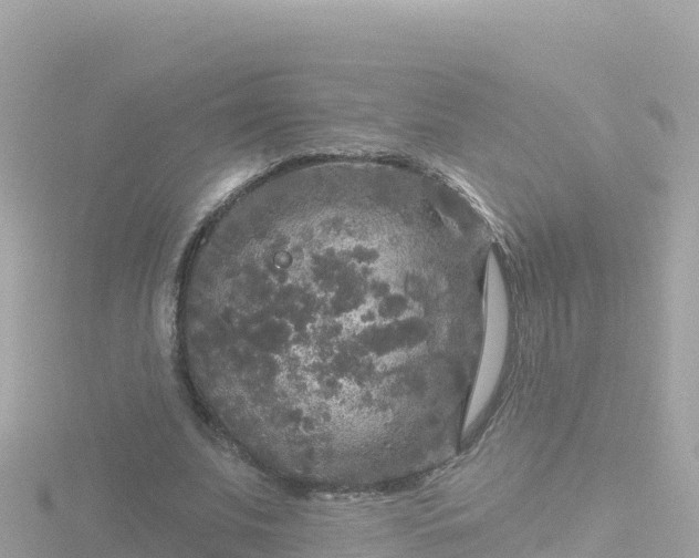 X0000116790679200912241202