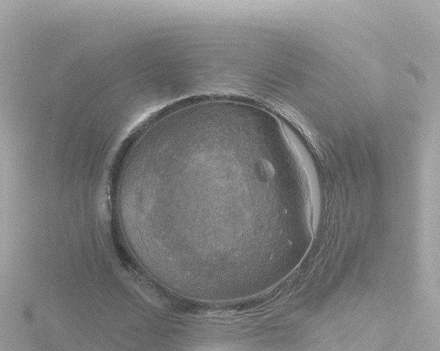 X0000116790680200912241202