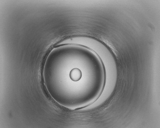 X0000116790681200912241202