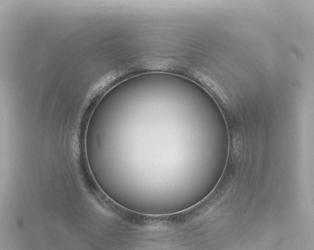 X0000116790682200912241202