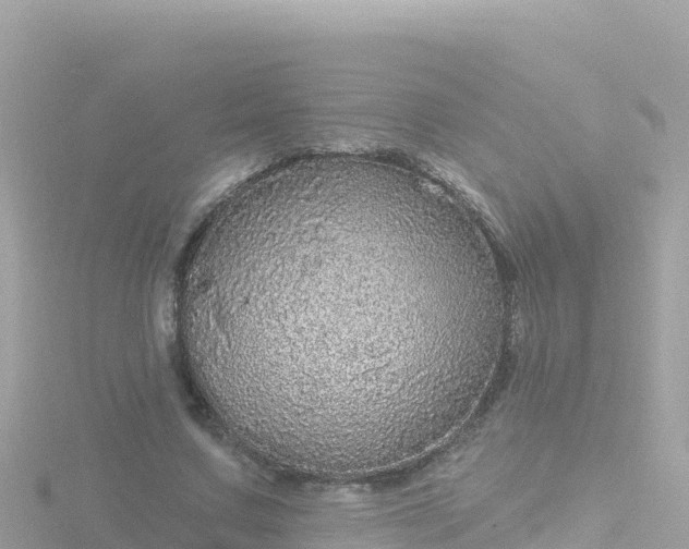 X0000116790683200912241202