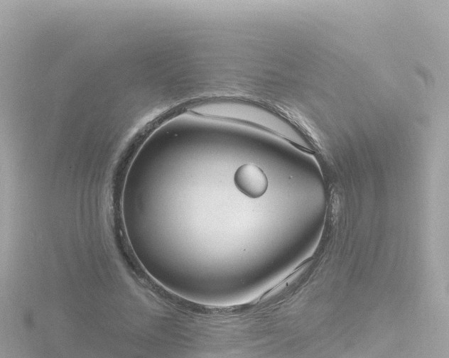 X0000116790684200912241202