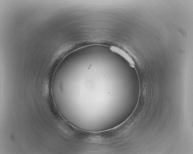 X0000116790685200912241202