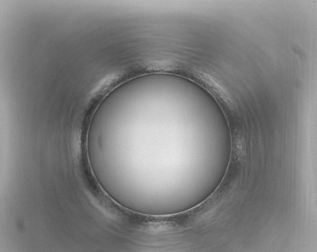 X0000116790686200912241202