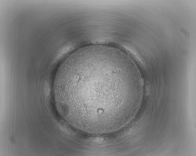 X0000116790687200912241202