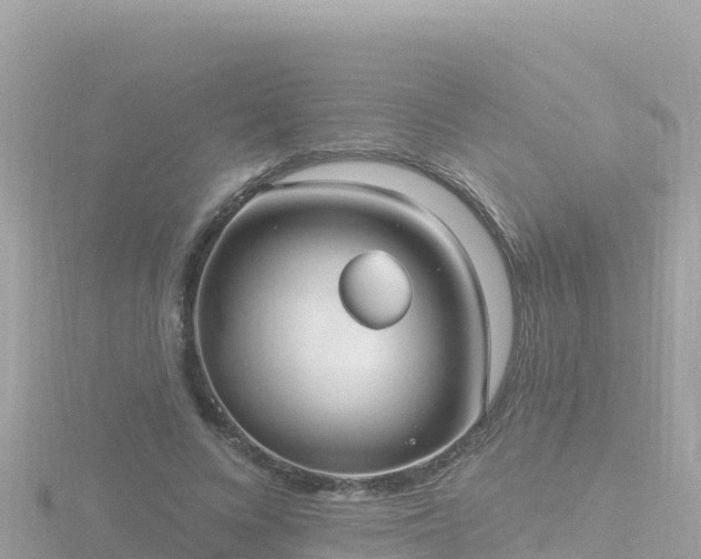 X0000116790688200912241202