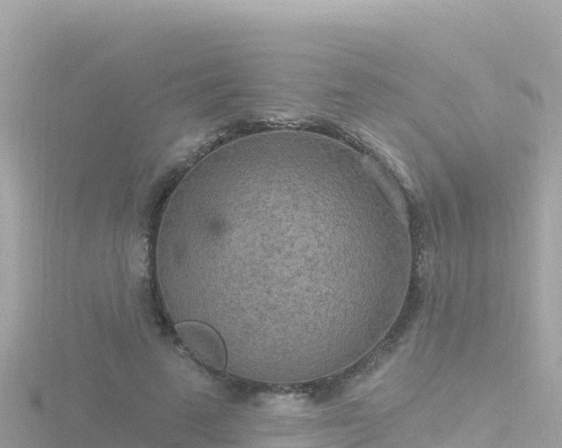 X0000116790689200912241202