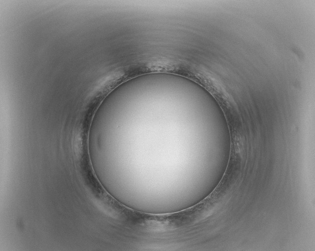 X0000116790690200912241202