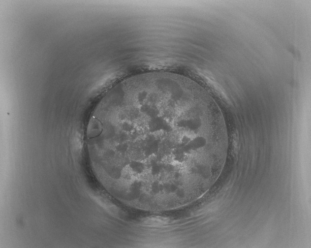 X0000116790691200912241202