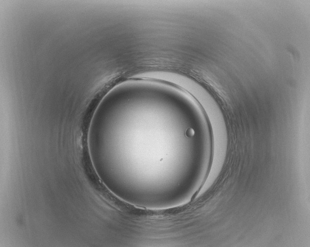 X0000116790692200912241202