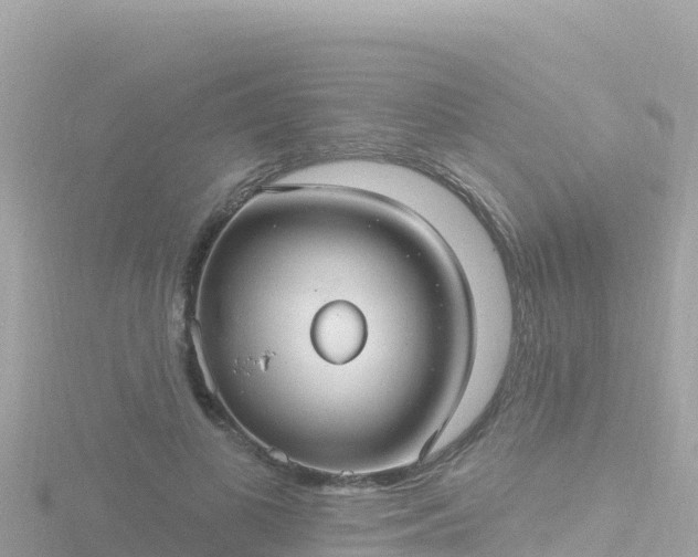 X0000116790693200912241202