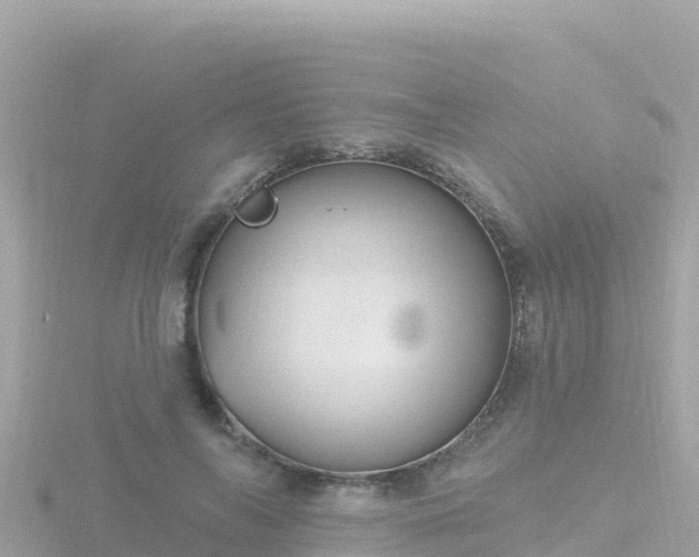 X0000116790694200912241202