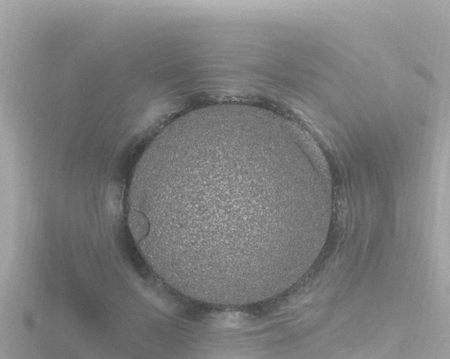 X0000116790695200912241202