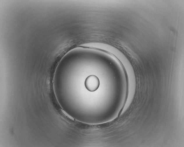 X0000116790696200912241202