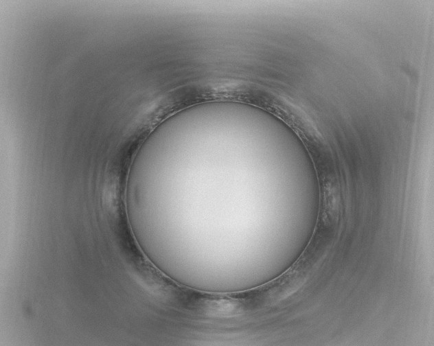 X0000116790698200912241202