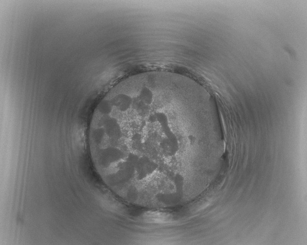 X0000116790699200912241202