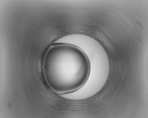 X0000116790700200912241202