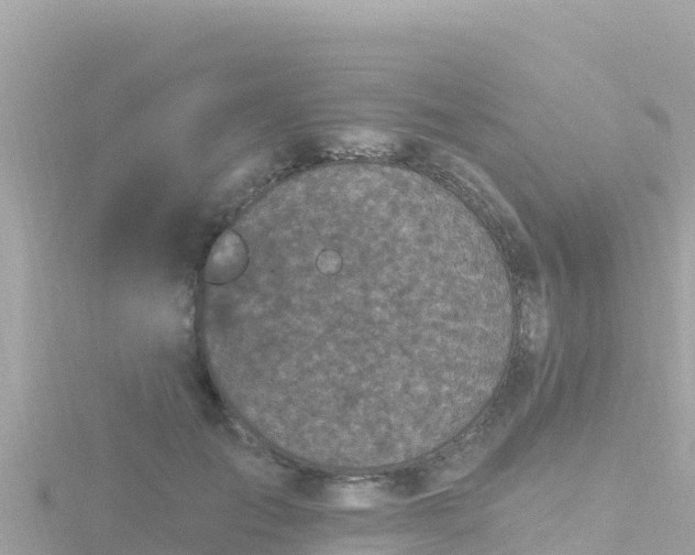 X0000116790701200912241202