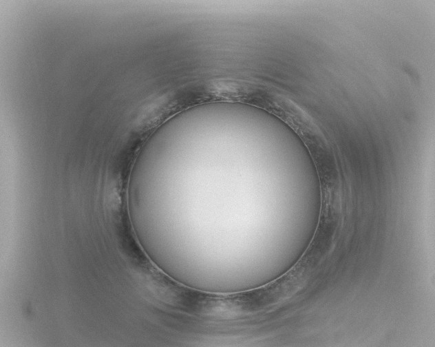 X0000116790702200912241202