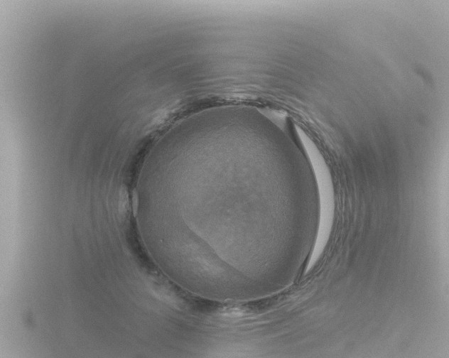 X0000116790704200912241202