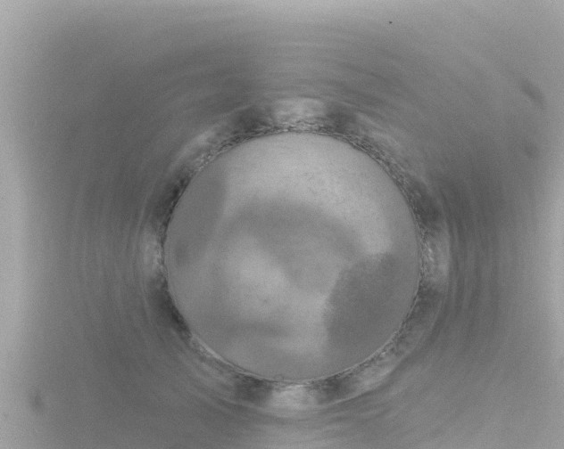 X0000116790705200912241202