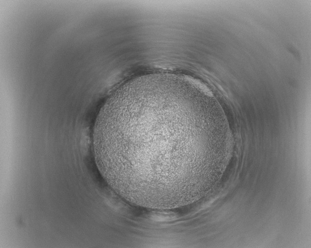 X0000116790707200912241202