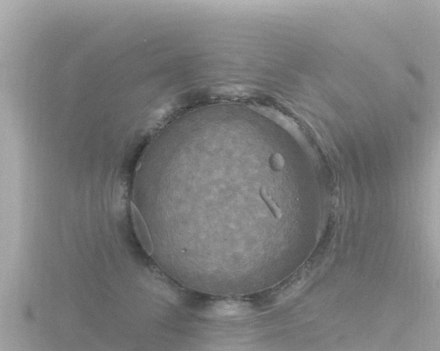 X0000116790708200912241202