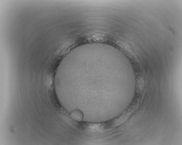 X0000116790709200912241202